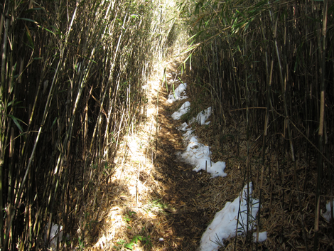 20200122hike (149)